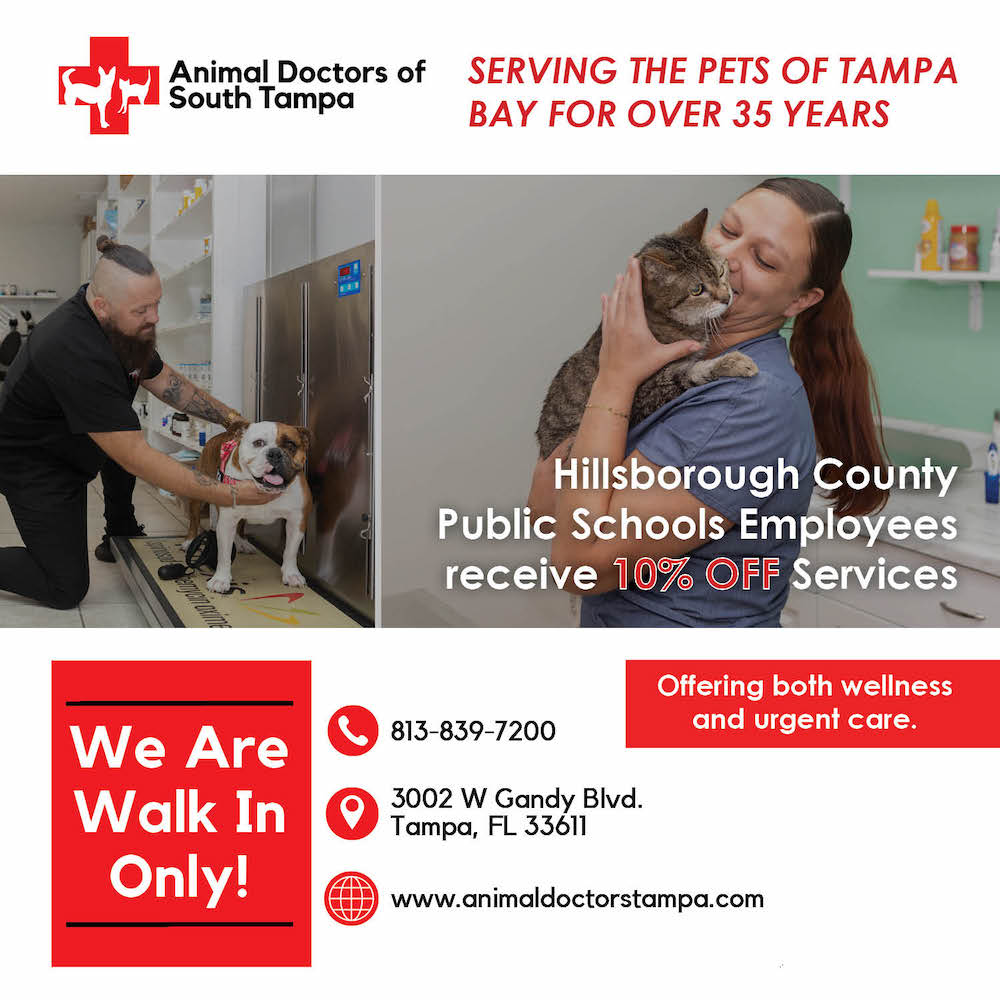 Animal Doctors of South Tampa