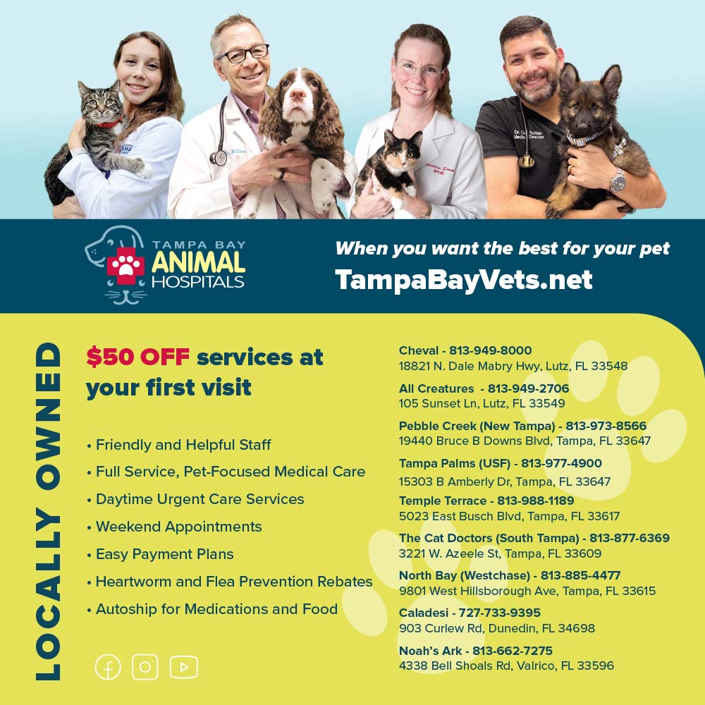 Tampa Bay Veterinary Medical Group